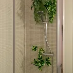 L'evidence Nantaise, Cocon Cosy Au Coeur De Nantes