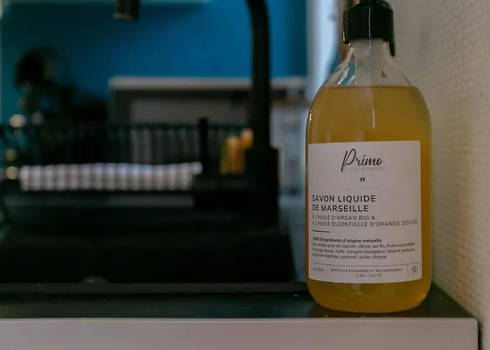 L'evidence Nantaise, Cocon Cosy Au Coeur De * Nantes